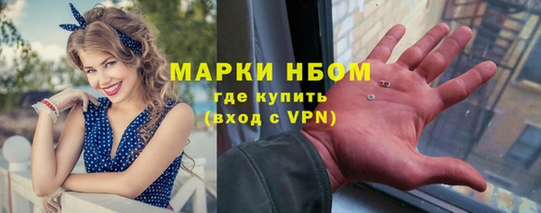 ПСИЛОЦИБИНОВЫЕ ГРИБЫ Арсеньев