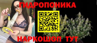 альфа пвп Волгодонск