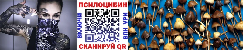Псилоцибиновые грибы мицелий  Можга 