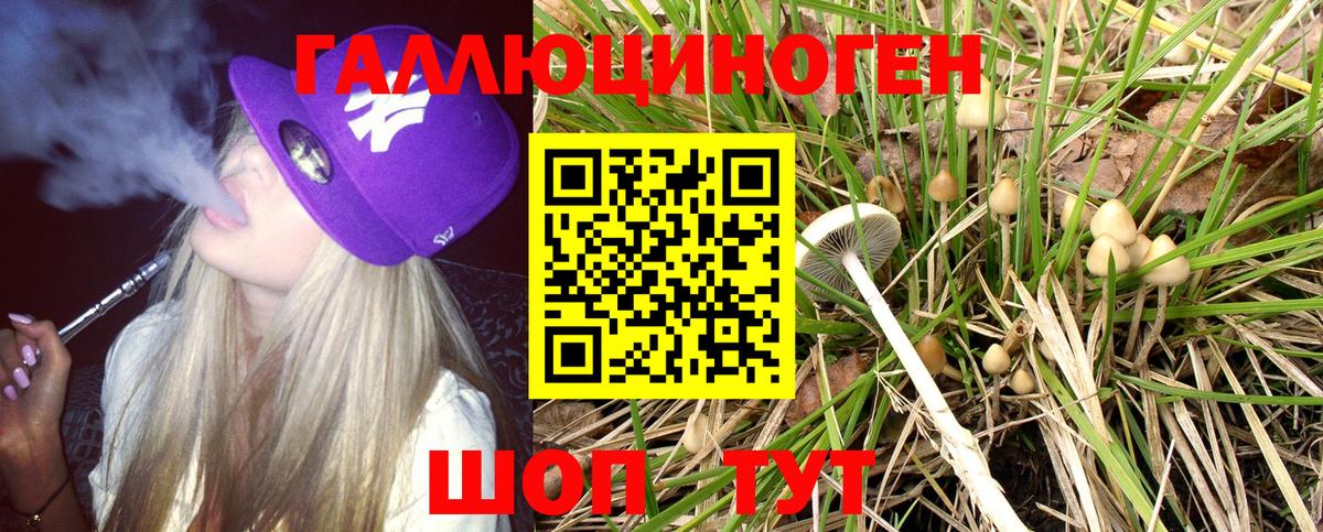 Можга  Псилоцибиновые грибы Psilocybe  Псилоцибиновые грибы MAGIC MUSHROOMS  Вход с VPN 