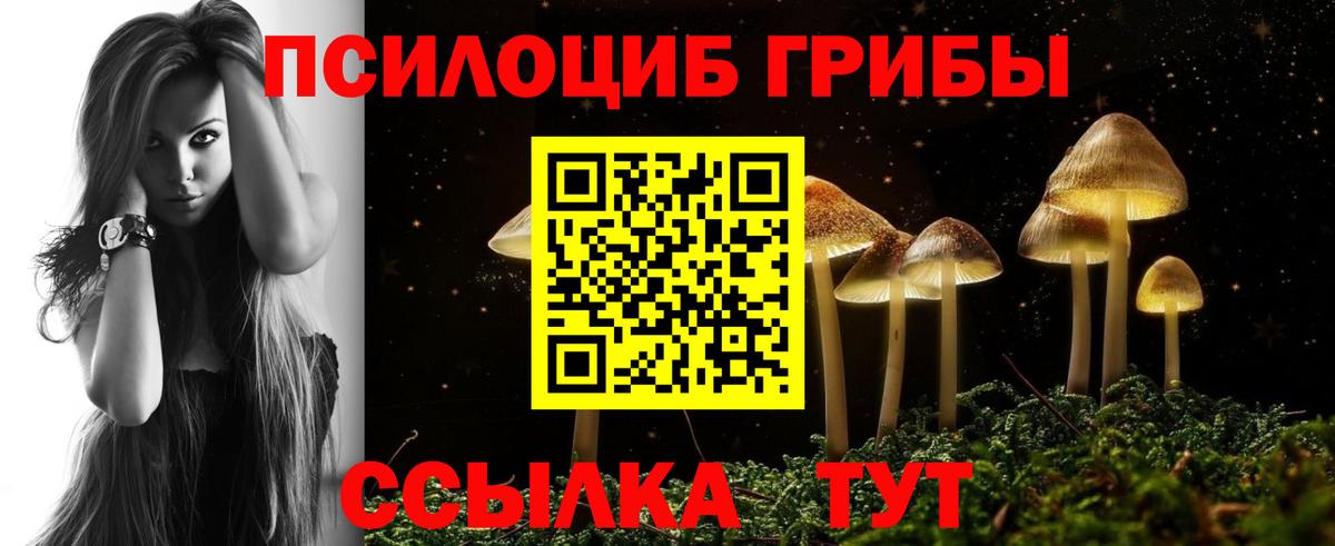 Псилоцибиновые грибы Psilocybine cubensis Можга